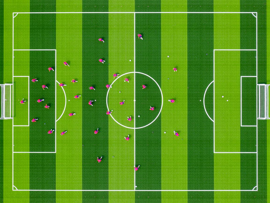 开云体育app入口-体育新闻中心协助地方体育局提升内容传播效果，体育新闻主要报道形式  第3张