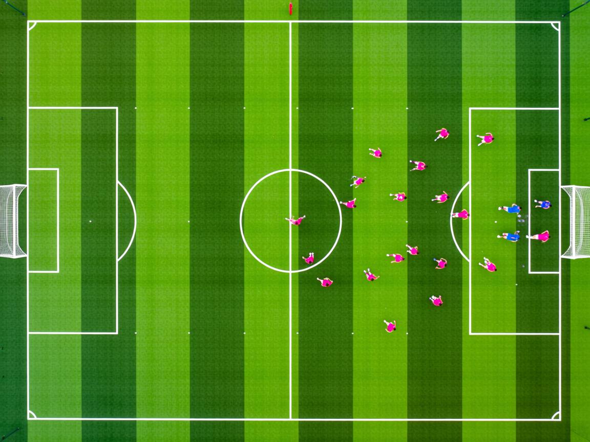 开云体育app在线-加拿大乒乓队未来发展战略：如何培养顶级乒乓人才，加拿大 乒乓球队